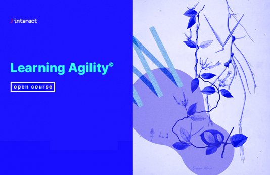 Learning Agility Interact