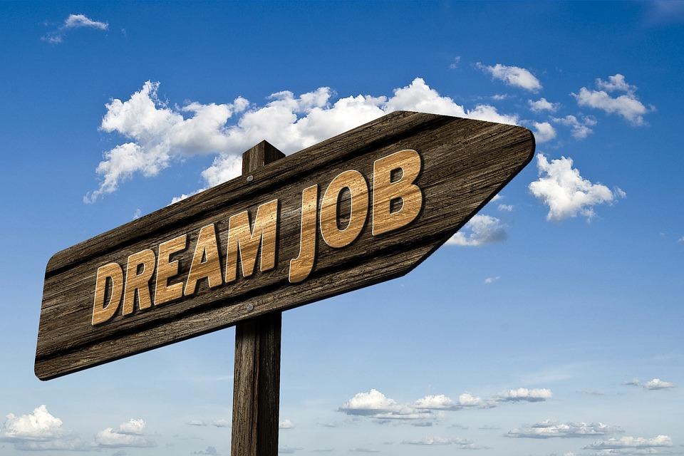 Găsirea job-ului vieții